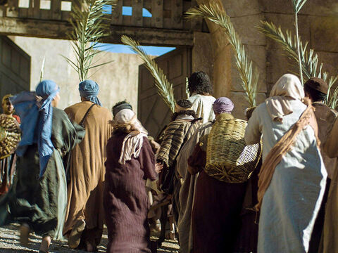 palm sunday